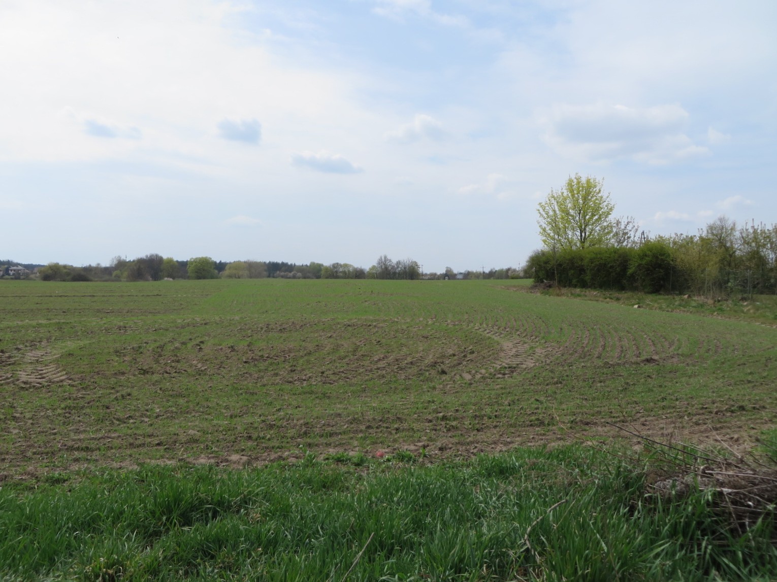 widok na działkę nr 137, działka niezabudowana, pole uprawne