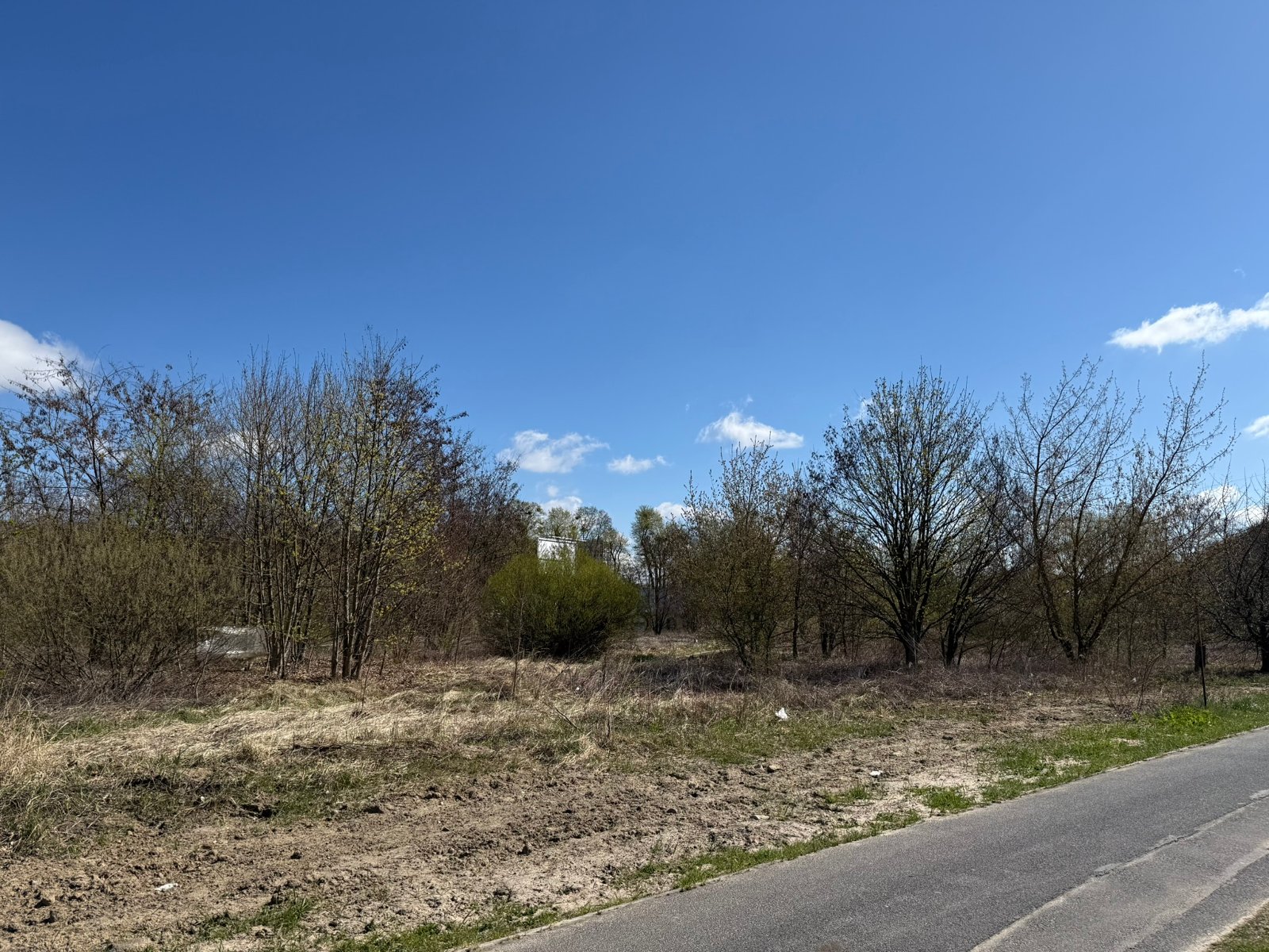 Widok na teren działki od strony ul. Strzeszyńskiej w Poznaniu, działka niezabudowana, porośnięta trawą, krzewami i kilkoma drzewami pochodzącymi z samosiewu.