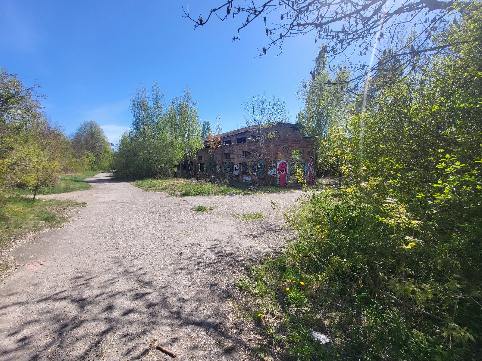 Zdjęcie przedstawia działkę inwestycyjną, położoną w Poznaniu przy ul. Mieleszyńskiej, działka zarośnięta widoczny rozpadający budynek pokryty graffiti