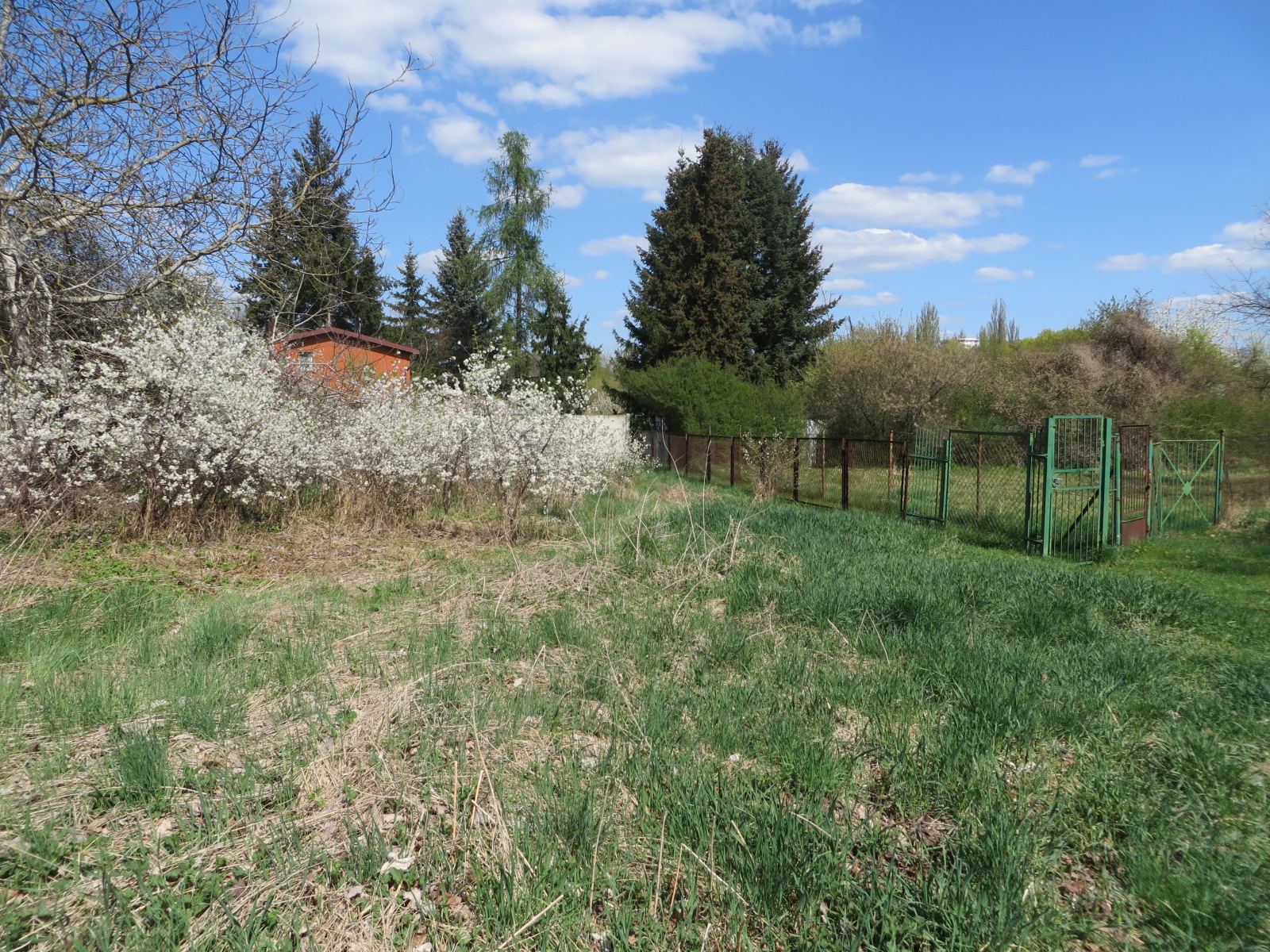 działka na sprzedaż, teren porośnięty trawą, zadrzewiony