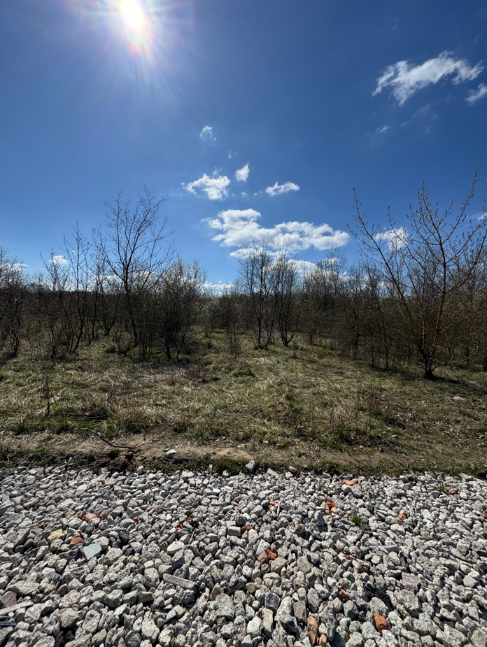 Widok od ul. Moniki Gruchmanowej na działkę 1/325 niezabudowana, porośnięta niepielęgnowaną roślinnością