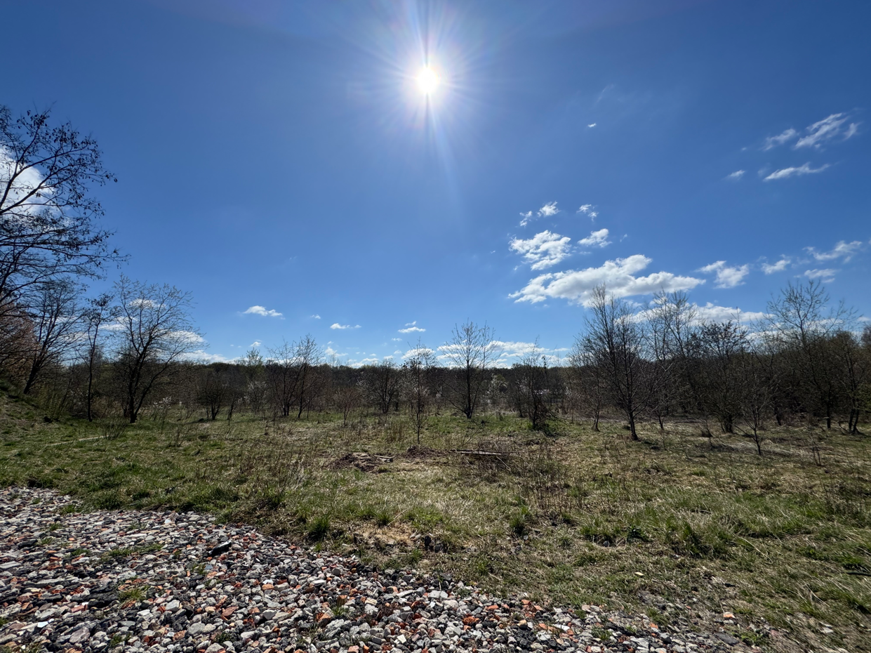 Widok na działkę 1/327 niezabudowana, porośnięta niepielęgnowaną roślinnością