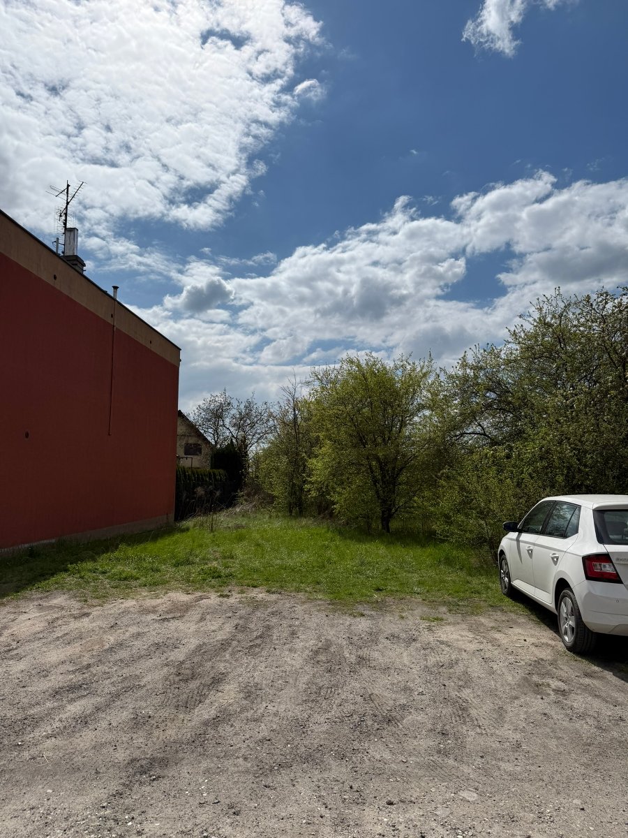Widok na teren działki od strony ul. Begoniowej, niezabudowana, porośnięta w części gęstymi krzewami.