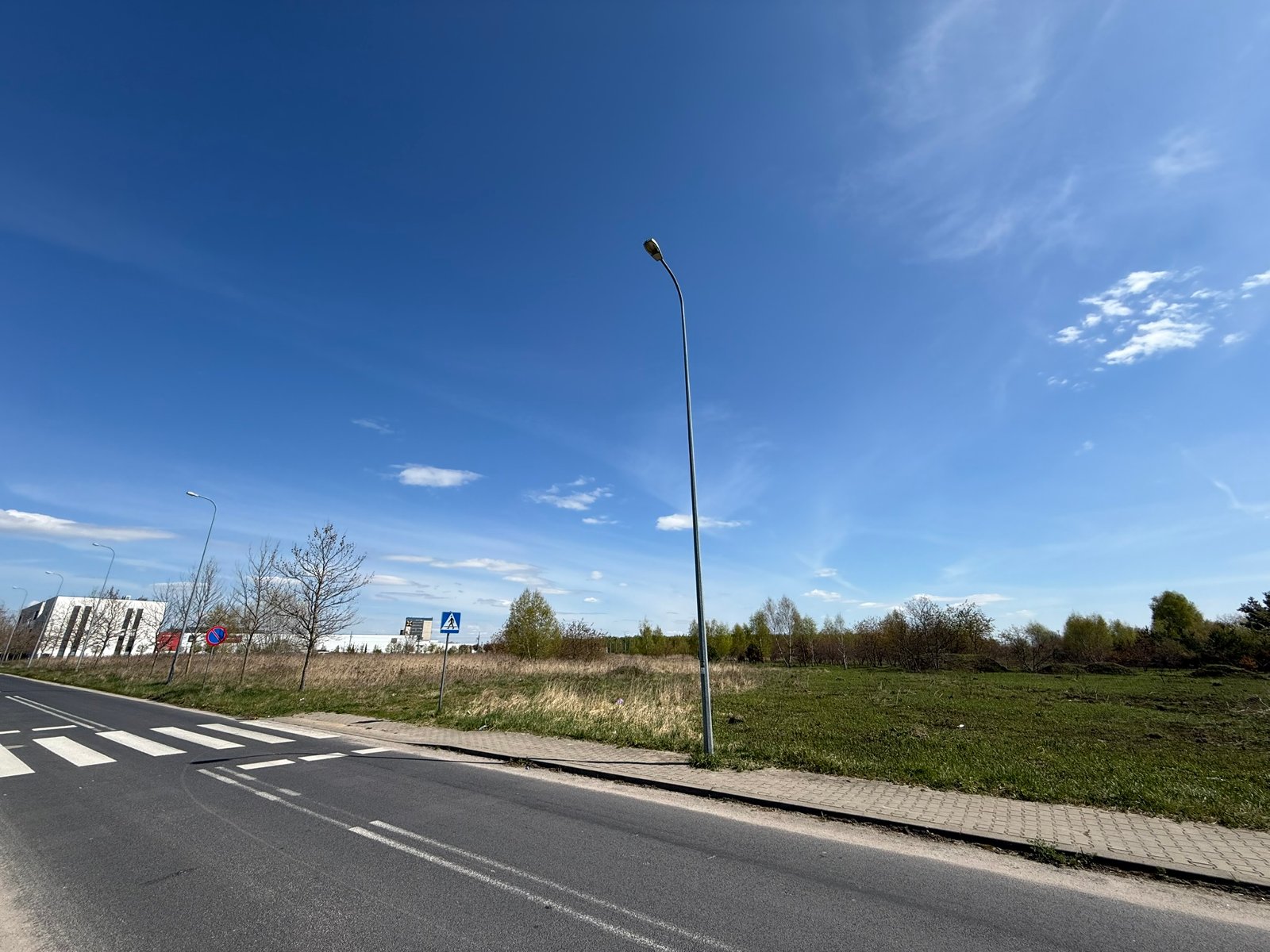 Widok na teren działki od strony ul. Franowo, teren niezabudowany, porośnięty krzewami i pojedynczymi drzewami.