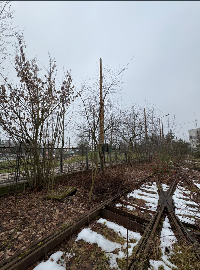Widok na działkę 19/8 porośnięta niepielęgnowaną roślinnością z występującą infastrukturą tramwajową, taką jak: tory odstawcze, sieć trakcyjna