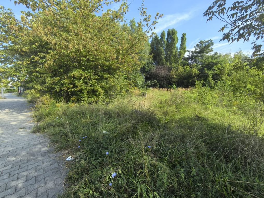 widok od strony ul. Bobrzańskiej, teren zadrzewiony, działka niezabudowana, chodnik