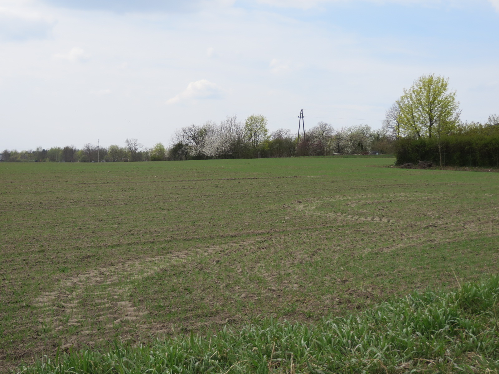 widok na działkę nr 138, działka niezabudowana, pole uprawne