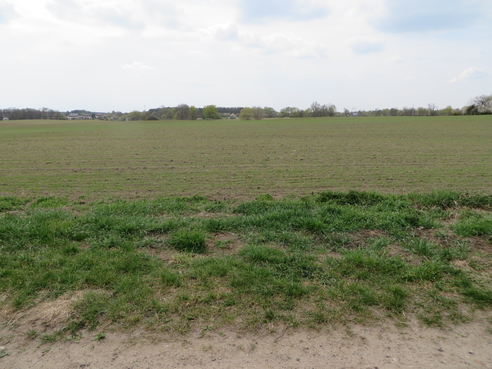 widok na działkę nr 138, działka niezabudowana, pole uprawne
