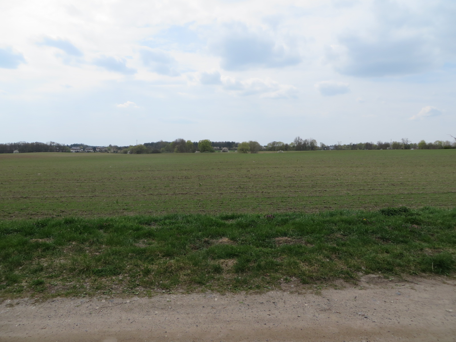 widok na działkę nr 140, działka niezabudowana, pole uprawne