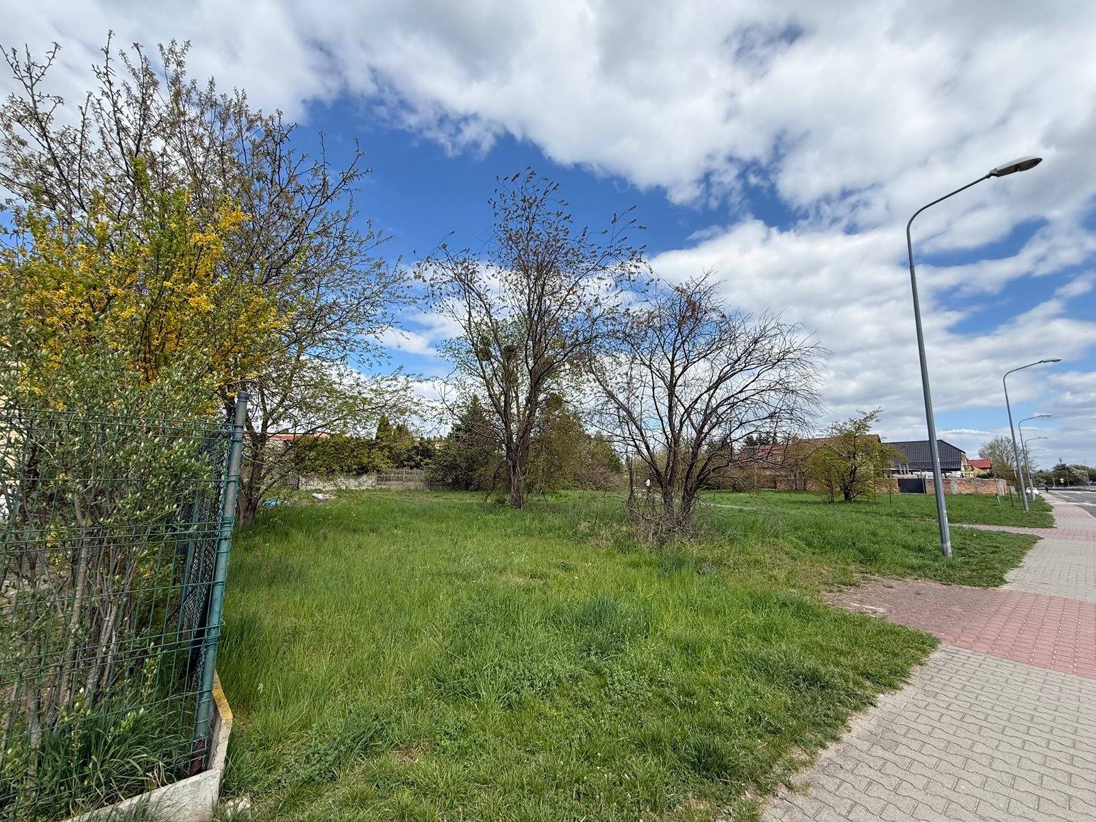 Widok na teren działki od ul. Szarotkowej, niezabudowana, porośnięta niską roślinnością, pojedynczymi krzewami i drzewami.