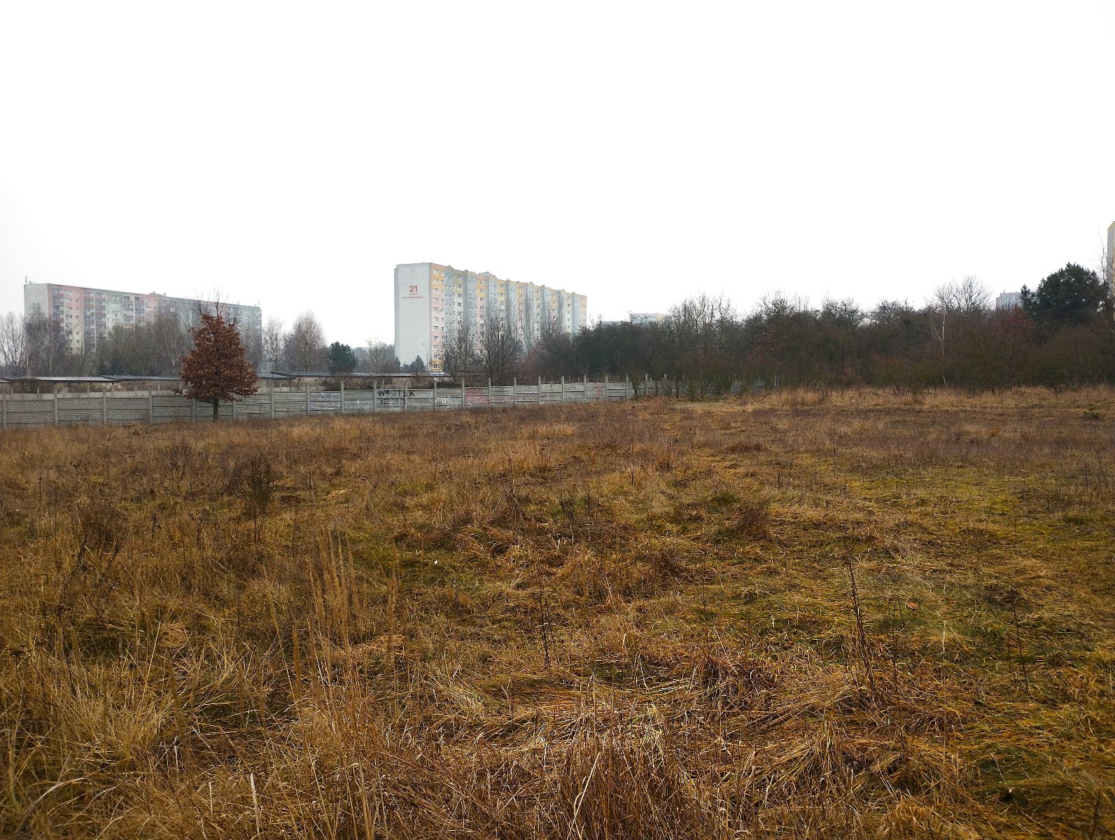 działka nr 343/8 na sprzedaż płaski teren porośnięty trawą