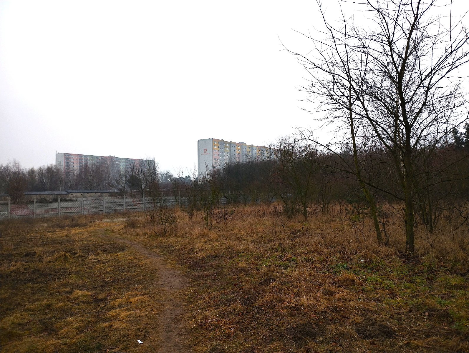 działka budowlana nr 343/8 na sprzedaż widok w stronę Piątkowa teren płaski porośnięty trawą oraz niewielkimi drzewami i krzewami